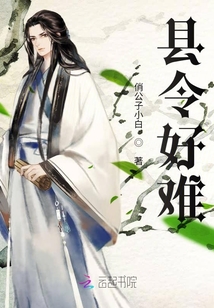縣令好難