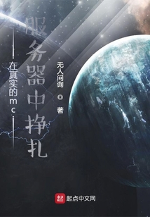 在真實(shí)的mc服務(wù)器中掙扎