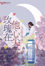 玫瑰在他心尖在线阅读
