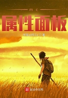 mc属性面板在线阅读