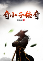 奇小子傳奇在線閱讀
