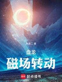 盤龍，磁場轉(zhuǎn)動