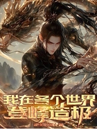 我在各个世界登峰造极在线阅读