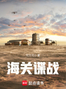 海關(guān)諜戰(zhàn)