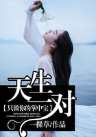 天生一對(duì)：只做你的掌中寶在線閱讀