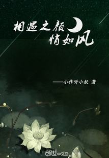相遇之顏悄如風(fēng)