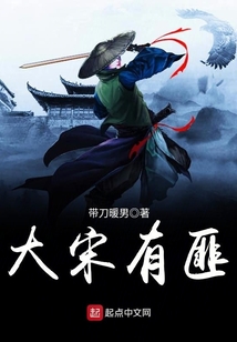 大宋有匪
