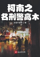 柯南之名刑警高木在線閱讀