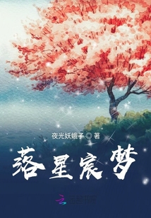 落星宸夢(mèng)