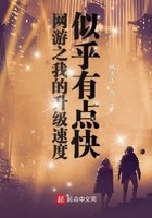 網游之我的升級速度似乎有點快在線閱讀
