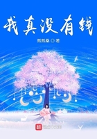 我真没有钱