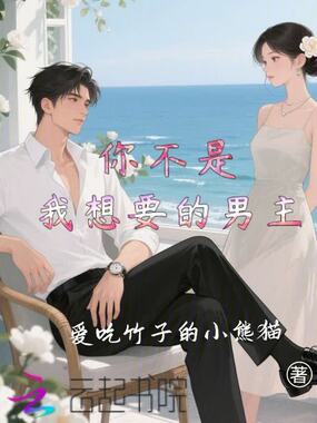 你不是我想要的男主在线阅读