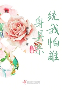 身具系統(tǒng)我怕誰(shuí)