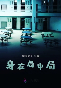 身在局中局