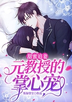 甜蜜追妻：元教授的掌心宠在线阅读