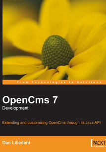 OpenCms 7 Development