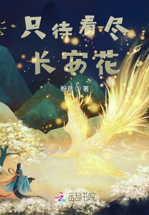 只待看盡長安花