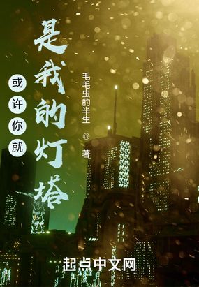 或许你就是我的灯塔在线阅读