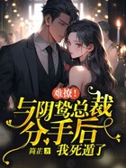 难撩!与阴鸷总裁分手后我死遁了在线阅读