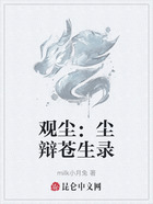 观尘：尘辩苍生录在线阅读