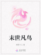 末世凡鸟在线阅读