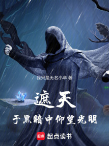 《遮天：于黑暗中仰望光明》封面