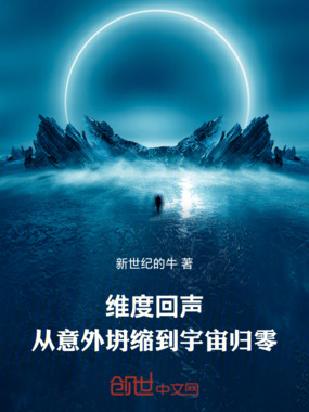 维度回声:从意外坍缩到宇宙归零在线阅读