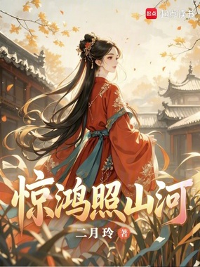 惊鸿照山河在线阅读