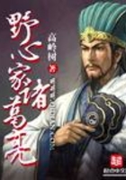 野心家诸葛亮