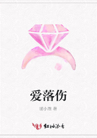 愛落傷在線閱讀