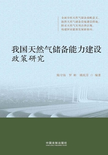 我國天然氣儲備能力建設政策研究