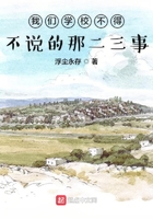 我們學校不得不說的那二三事在線閱讀