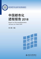 中国都市化进程报告2018在线阅读