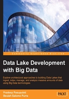 Data Lake Development with Big Data在线阅读