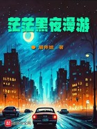 茫茫黑夜漫游在线阅读