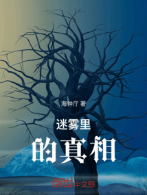 迷霧里的真相