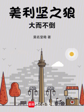 美利坚之狼:大而不倒在线阅读