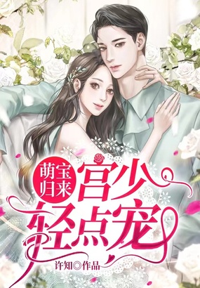 萌宝归来，宫少轻点宠在线阅读