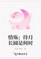 情殤：待月長圓是何時在線閱讀