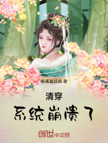 清穿：系統崩潰了