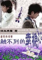 盛夏的愛戀：觸不到的幸福在線閱讀
