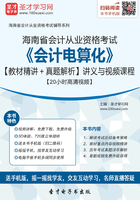 海南省会计从业资格考试《会计电算化》【教材精讲＋真题解析】讲义与视频课程【20小时高清视频】