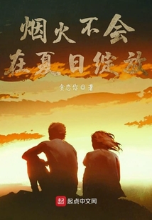烟火不会在夏日绽放在线阅读