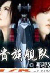 貴族艦隊