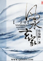 一字号风水玄家在线阅读
