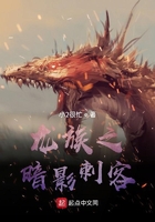 龙族之暗影刺客