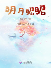 明月昭昭拂我意