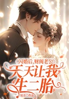 闪婚后，财阀老公天天让我生二胎在线阅读