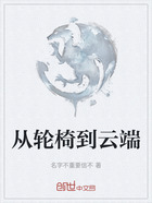 從輪椅到云端在線閱讀