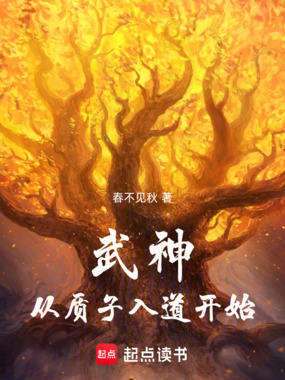 武神从质子入道开始在线阅读